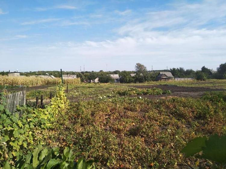Дом (продажа) - Покровск, р-н. 8 группа (ID: 1045) - Фото #9